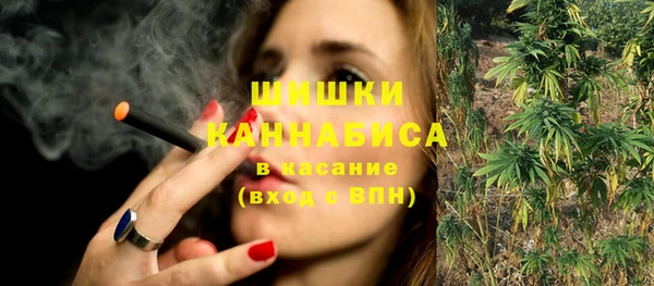 индика Болотное