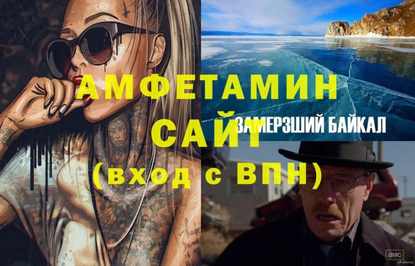 индика Болотное