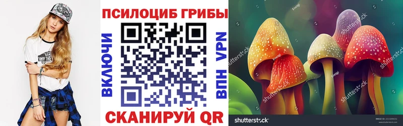 Галлюциногенные грибы Psilocybine cubensis Партизанск